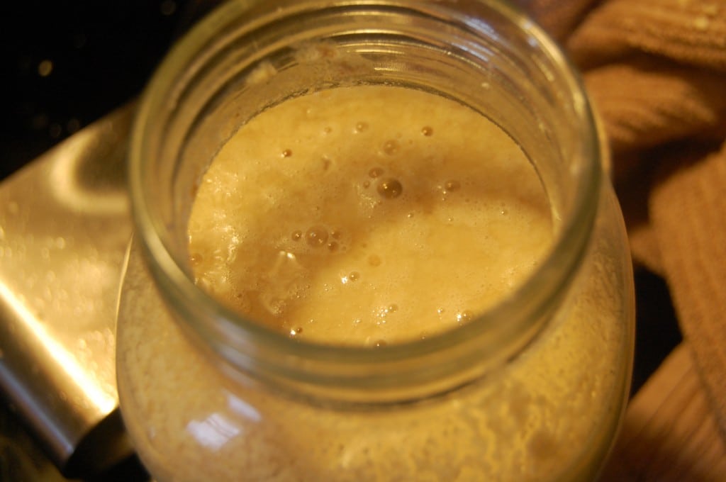 sourdough starter bubbles